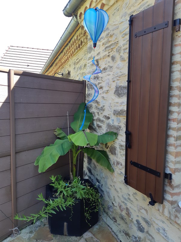 La terrasse du gîte